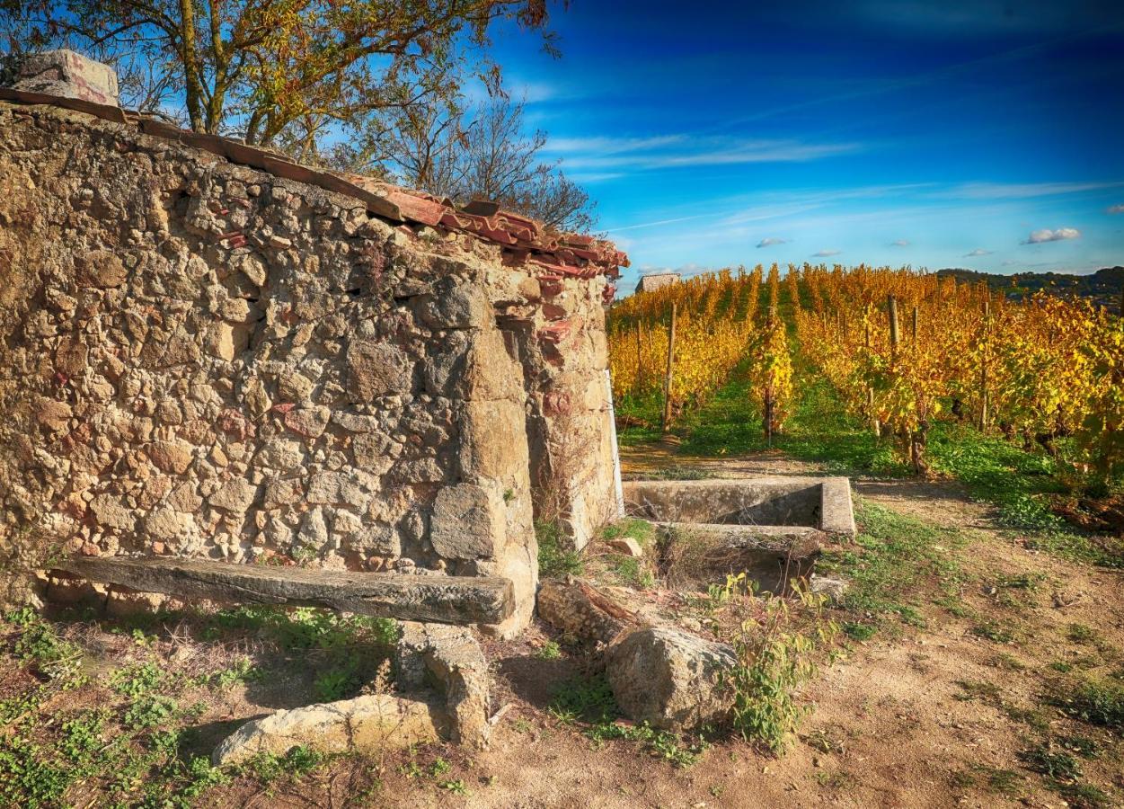 Condrieu Comme A La Maison Exterior photo