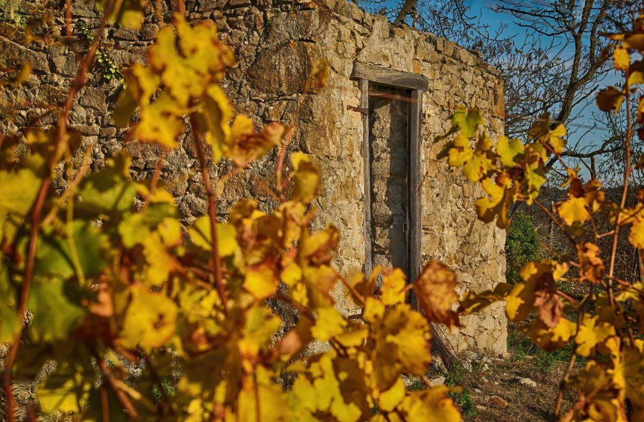 Condrieu Comme A La Maison Exterior photo